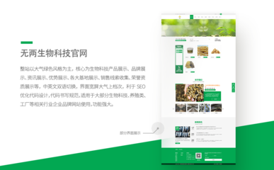 ViSNature Bio-Labs – 綠色寬屏中英文官網設計理念