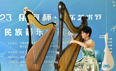 河北肅寧 民族樂器愛好者展才藝，古韻新聲奏響鄉村振興曲